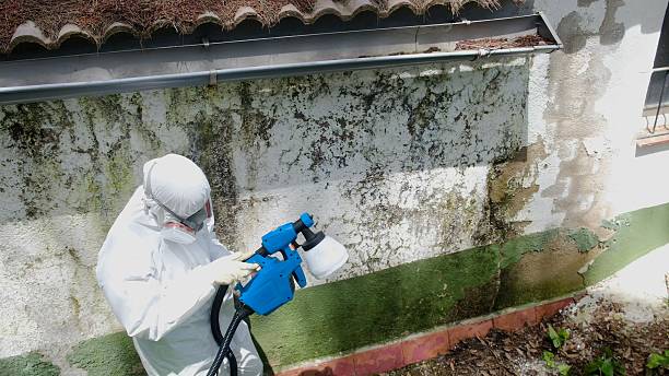 Trusted Mold Testing service in Lurgan, PA - Cheap Mold Removal